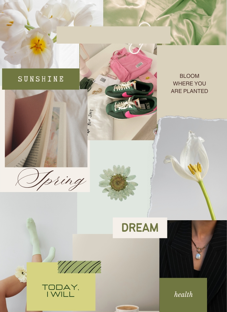 A collage (vision board) featuring the positive quotes for vision board