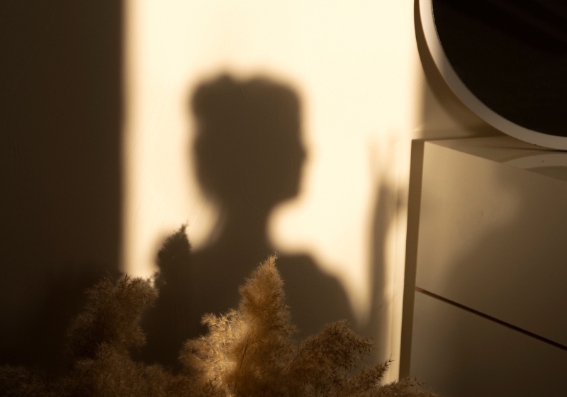 A soft shadow of a person's silhouette on a beige wall, with pampas grass in the foreground and part of a dresser and mirror visible on the right. The muted tones create a calm and reflective atmosphere. A featured image in a blog post about shadow work journal prompts